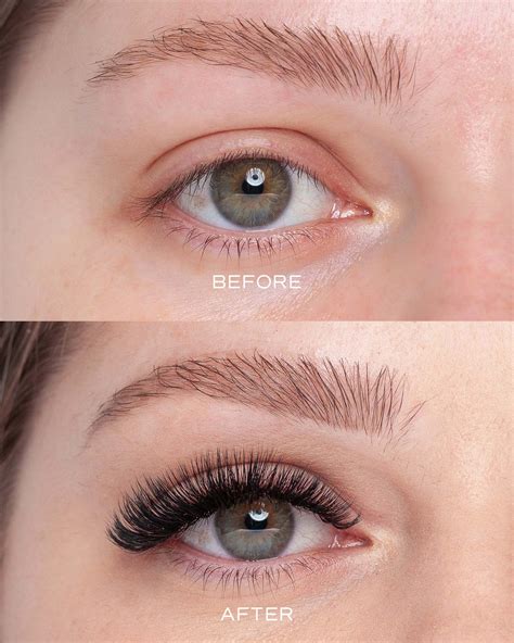 Online Classic And Volume Lash Training Borboletapro