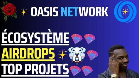 LE FUTUR GÉANT DE LA CRYPTO OASIS NETWORK ET LES TOP PROJETS