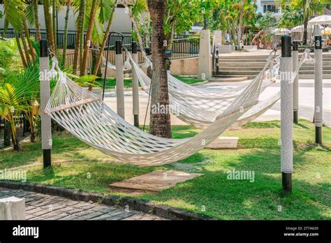 Beautiful White Hammocks Hanging On Open Air Under Trees In Tropical