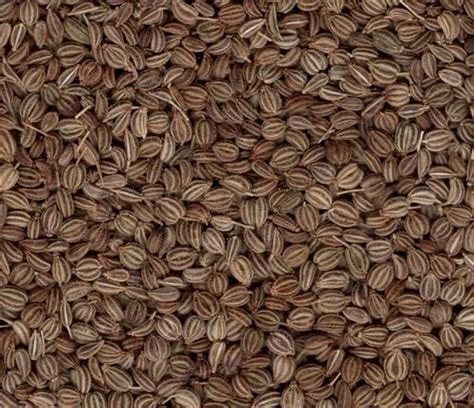 Everest Green Organic Ajwain Seeds Packaging Size G At Rs Kg