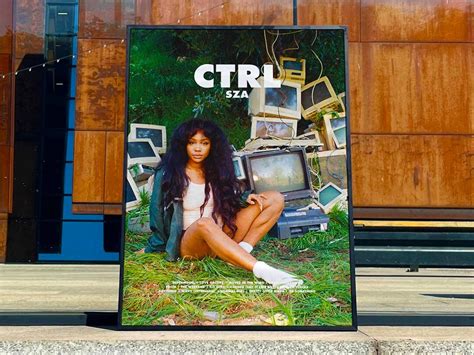 Ctrl Sza Custom Album Cover Poster Perfect T Etsy