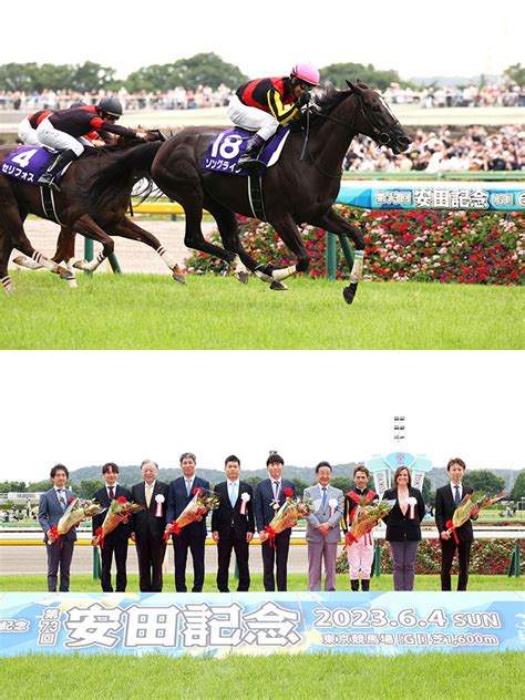 第73回安田記念で日本馬主協会連合会会長賞を贈呈しました 日本馬主協会連合会