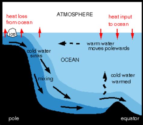 Ocean Circulation Flashcards Quizlet