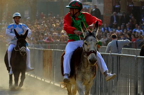 Venerdì le cene di contrada ecco i fantini del Palio dei Somari