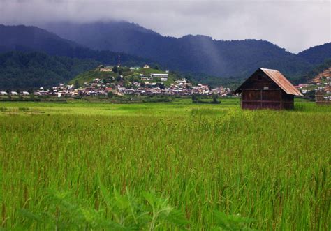 Ziro : History, Sightseeing, How To Reach & Best Time To Visit | Adotrip