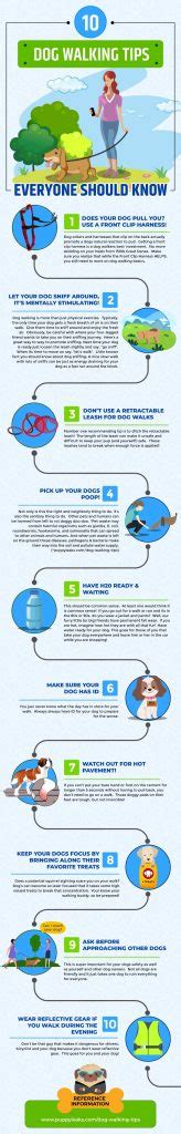 10 Dog Walking Tips Everyone Should Know - Puppy Leaks