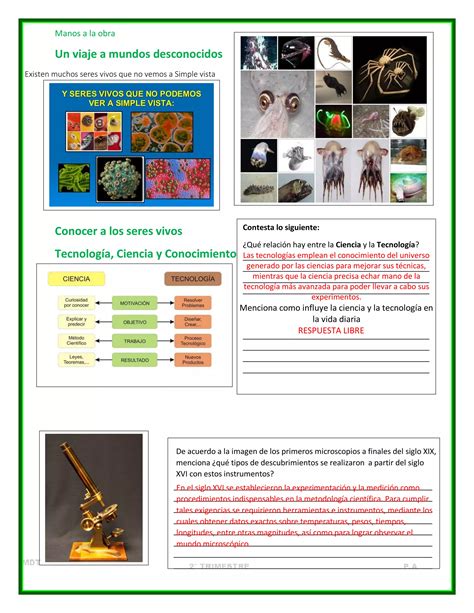 Cuadernillo Actividades Trimestre II Ciencias I PDF