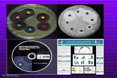 Module 1 Introduction To Microbiology