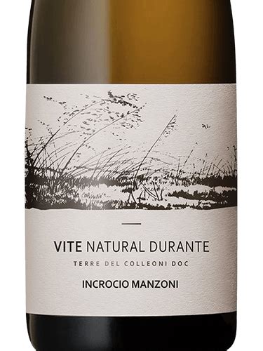 Tosca Vite Natural Durante Incrocio Manzoni Vivino US