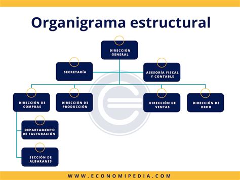 Organigrama Estructural Que Es Definicion Y Concepto Images Hot Sex Picture