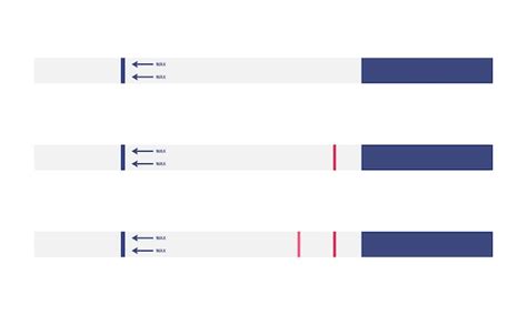 Pregnancy Test Strip Negative