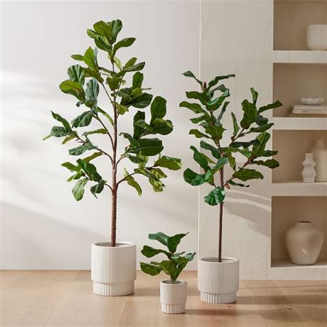 Faux Potted Green Olive Tree West Elm