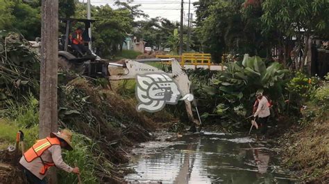 Retiran Toneladas De Basura Y Maleza En La Frutos De La Revoluci N