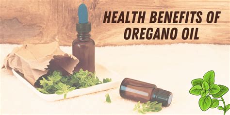 15 Health Benefits Of Oregano Oil