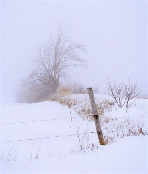 Pin By Miano Livia On Winter Winter Landscape Painting Winter