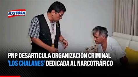 🔴🔵pnp Desarticula Organización Criminal Los Chalanes Dedicada Al Narcotráfico En Barranca