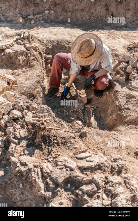 Anthropology Dig Hi Res Stock Photography And Images Alamy