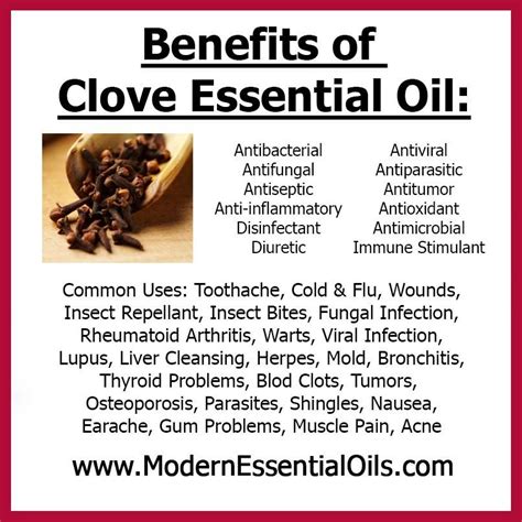 Clove Oil For Toothache Plus Other Benefits Uses Side