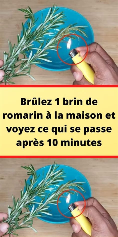 Brûlez 1 brin de romarin à la maison et voyez ce qui se passe après 10