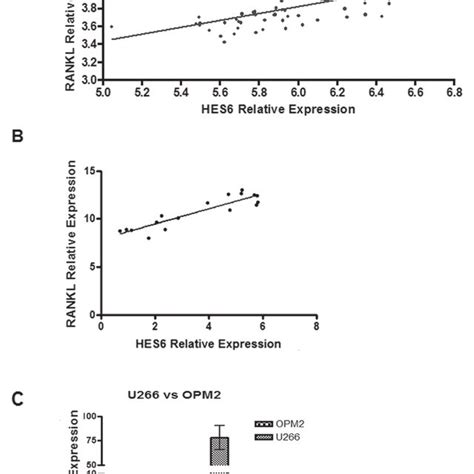 Notch Pathway Activation Is Correlated With Rankl Expression Levels In