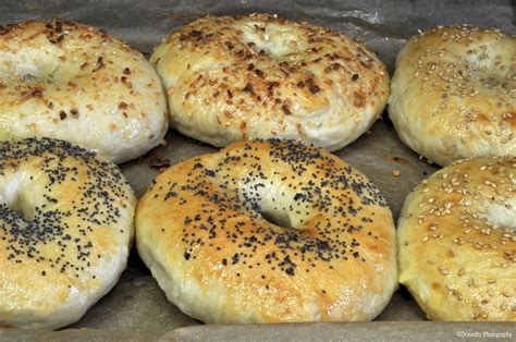 Sesame Seed Bagel