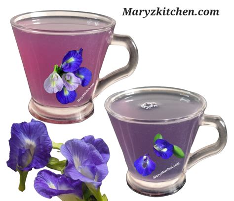 HOW TO MAKE BUTTERFLY PEA FLOWER TEA / BLUE TEA RECIPE - Mary's Kitchen