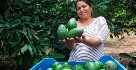 Ayacucho Transfieren más de 510 mil soles para mejorar la producción