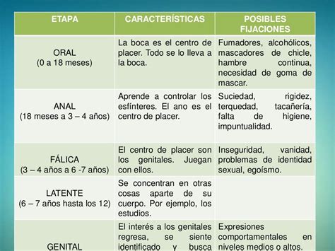 Las 5 Etapas De Freud