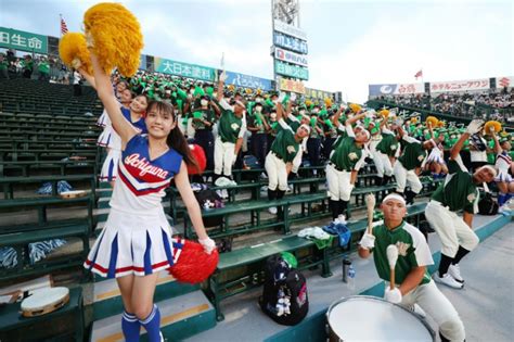 Tears And Team Spirit: High-school Baseball Grips Japan