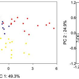 Pca Scores And Loadings Normalized To Total Intensity A D Pca