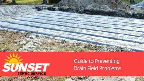 Guide to Preventing Drain Field Problems | Wisconsin Septic