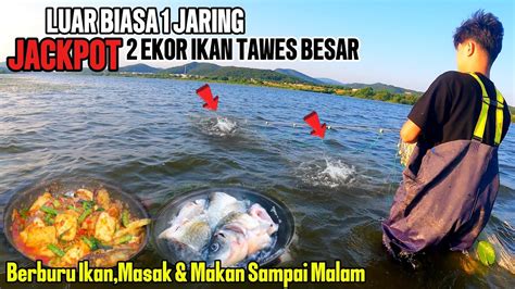 MANTAP BERBURU IKAN TEPAT DI SARANGNYA 2 EKOR IKAN TAWES BESAR