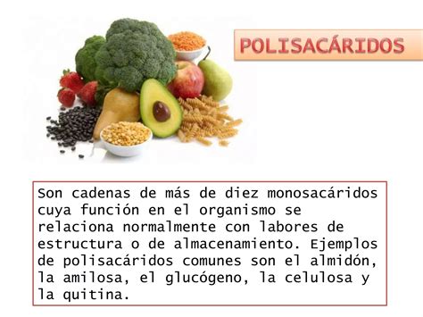 Carbohidratos PPT