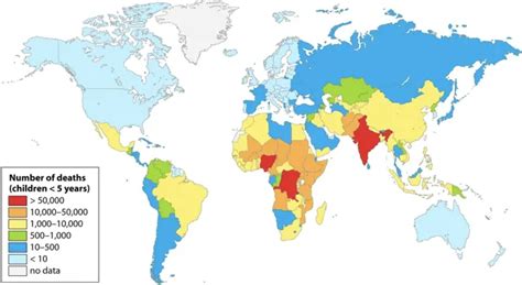 Global E.coli Outbreaks - Safe Food Alliance