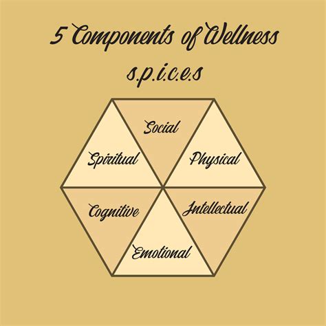 5 Components Of Wellness Svetlana Tk Fitness And Health