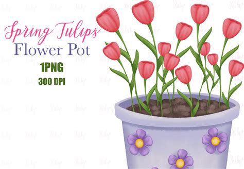 Watercolor Spring Tulips Flower Pot Graphic By Kisbyart Creative Fabrica