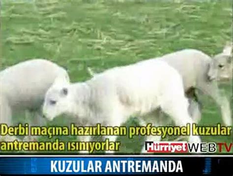 Kuzular Antremanda Dailymotion Video