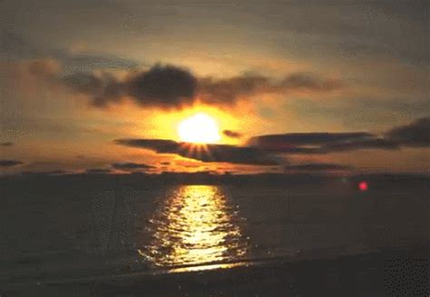 Sunrise GIFs - Get the best GIF on GIPHY