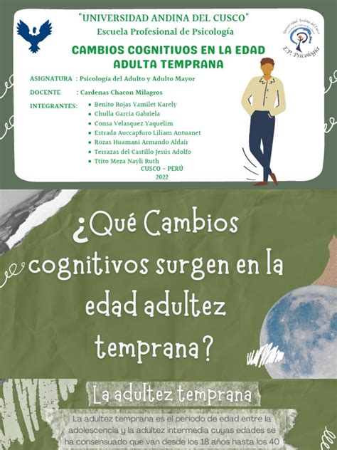 4 Cambios Cognitivos En La Edad Adulta Temprana Pdf Adultos