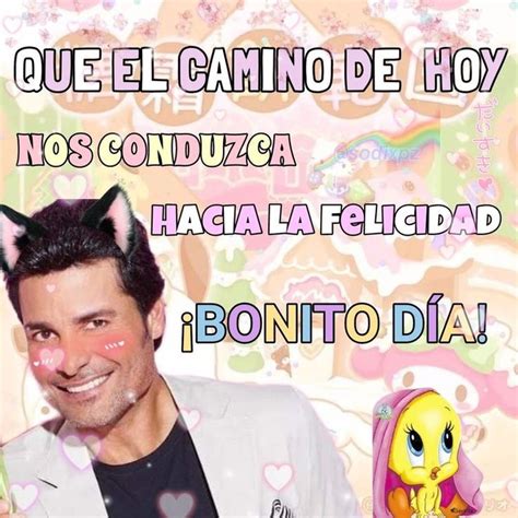 Pin En Libros Memes Y Varios En Imagenes De Chayanne Chayanne