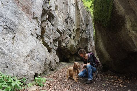 Schluchten Wandern Mit Hund Tierisch In Fahrt