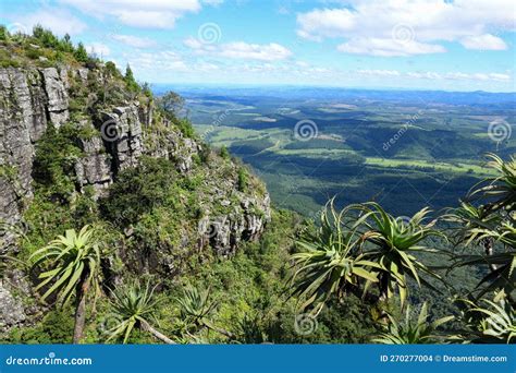 Landscape View at God S Window in South Africa Stock Photo - Image of national, environment ...