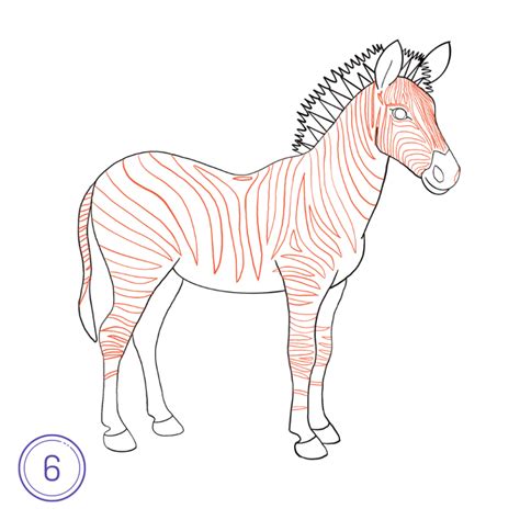 How To Draw A Zebra A Step By Step How To Mimi Panda