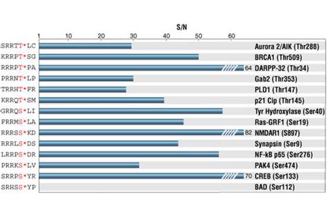 Htscan® Prk1 Kinase Assay Kit Cell Signaling Technology