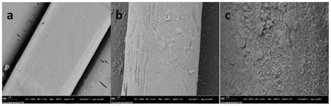 Surface Modification Method For Improving Binding Property Of Ultra