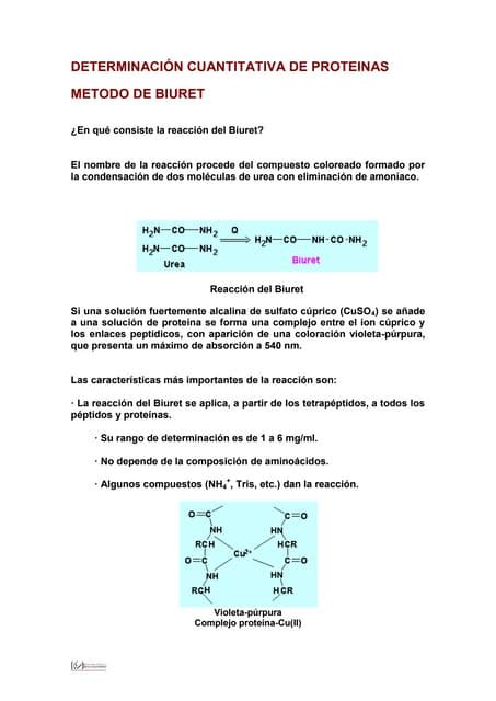 Determinacion De Proteinas Por El Metodo De Biuret 2 Pdf