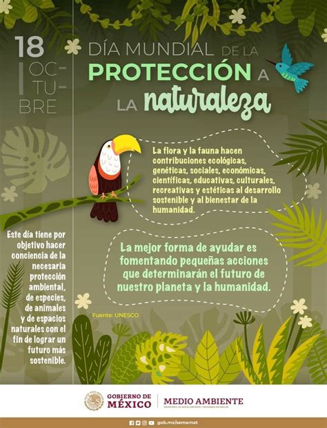 Día mundial de la protección a la naturaleza Infografia de animales