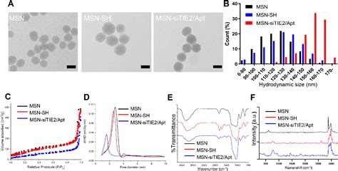 Figure 1 From Tumour Targeted And Redox Responsive Mesoporous Silica