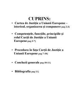 Curtea de Justiție a Uniunii Europene Referat DOCX