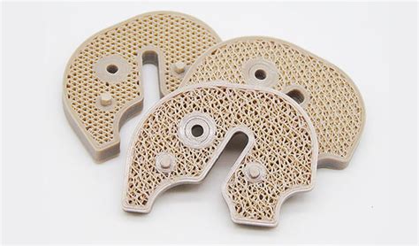 3d Printed Porous Scaffold Structures Can Promote Bone Growth In